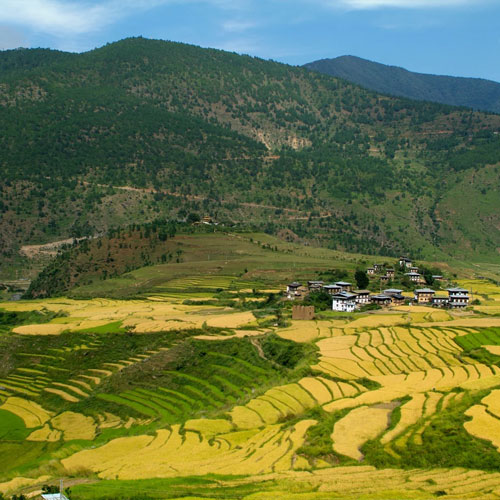 Phobjikha Valley