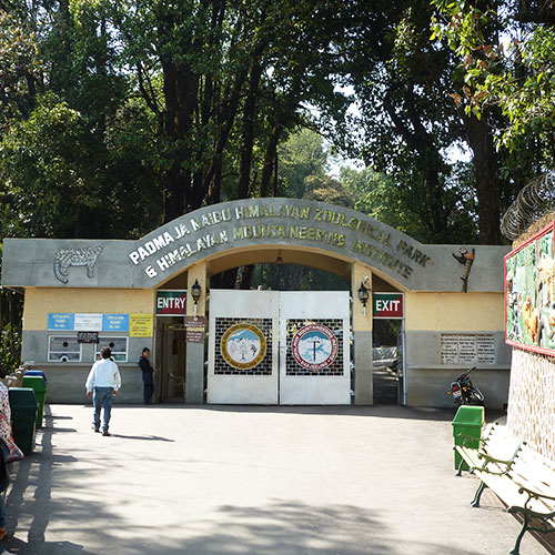 Padmaja Naidu Zoological Park