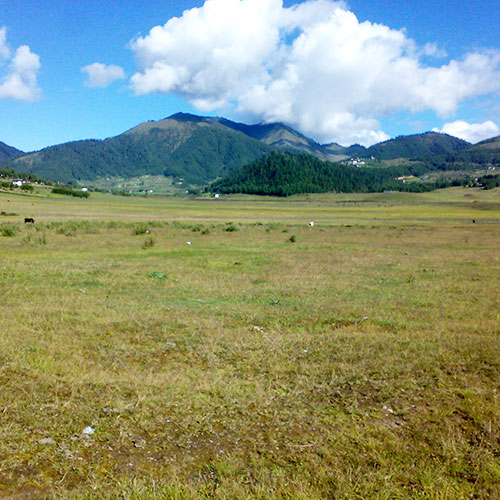 Phobjikha Valley